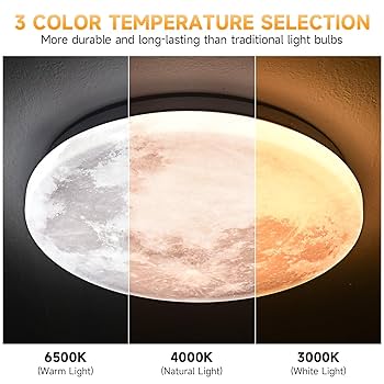 Amazon.com: Moon-Style Flush Mount Ceiling Light Fixture